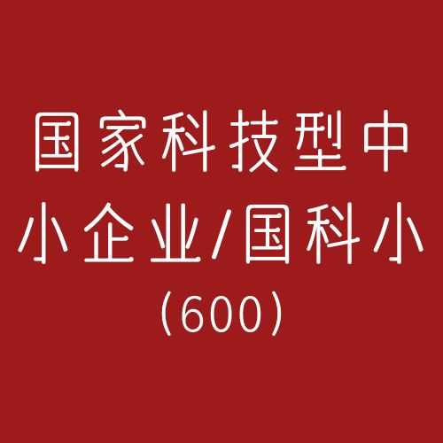 国家科技型中小企业/国科小咨询(咨询服务)